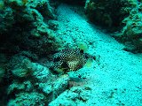 Curacao 04-12 053